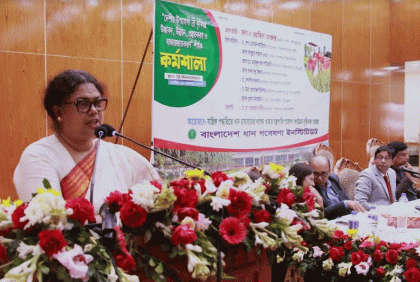 ব্রি উদ্ভাবিত কৃষিযন্ত্রের প্রায়োগিক মাঠ পরীক্ষণ অনুষ্ঠিত 