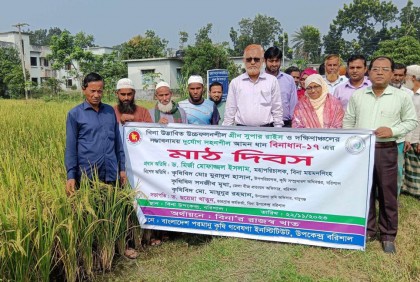 বরিশালে বিনাধান-১৭
মাঠ দিবস অনুষ্ঠিত