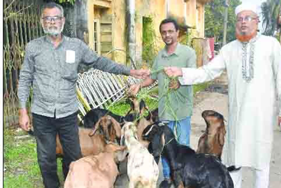 আটকের ১ বছর পর ৯টি ছাগল
হস্তান্তর করেছে সিটি করপোরেশন