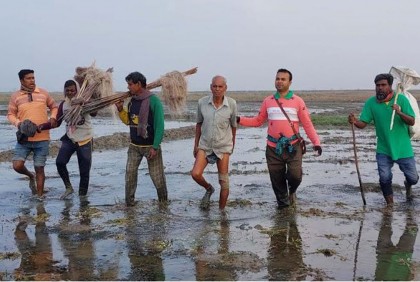 চলনবিলে তিন পাখি শিকারির অর্থদণ্ড