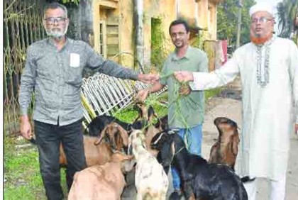 আটকের ১ বছর পর ৯টি ছাগল
হস্তান্তর করেছে সিটি করপোরেশন