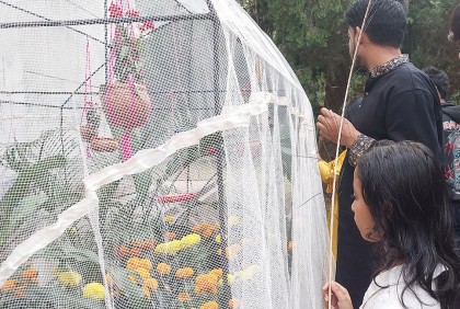 উৎসবমুখর প্রজাপতি মেলায় উপচে পড়া ভিড়