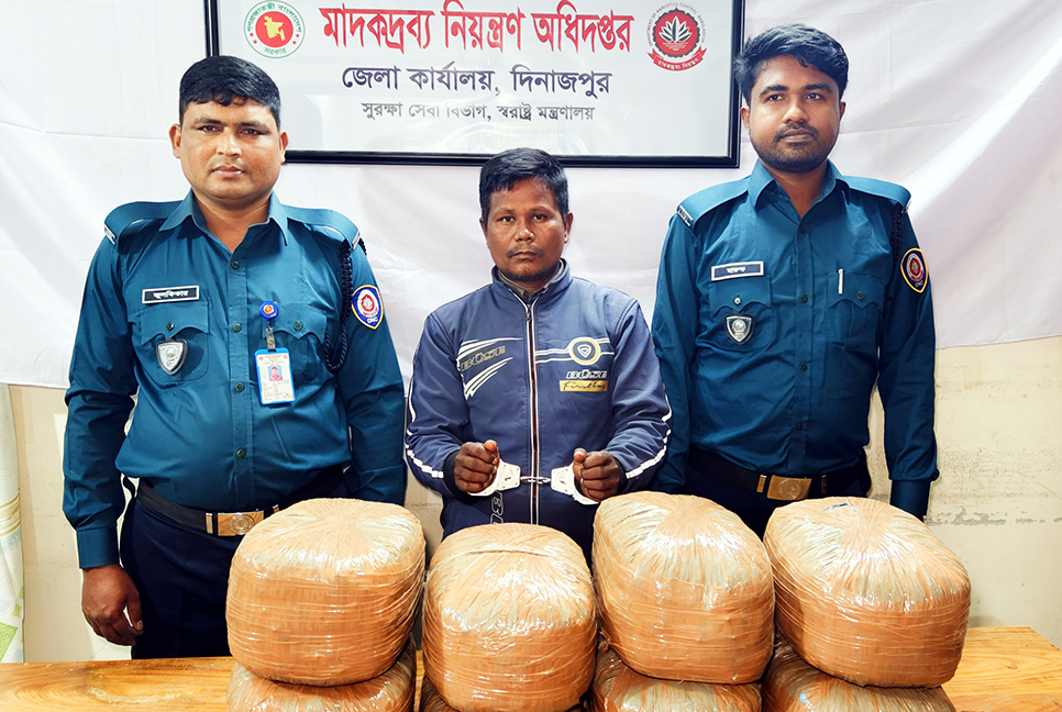 দিনাজপুরে ২৪ কেজি গাঁজাসহ মাদক কারবারি আটক