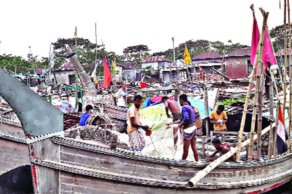 ইলিশের আকাল ভোলায়