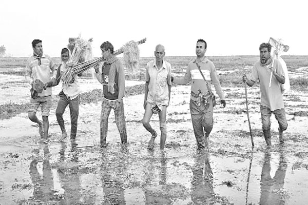 চলনবিলে ১৫ পাখি অবমুক্ত