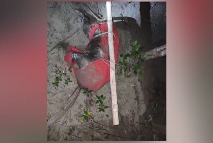সাতক্ষীরা নদীতে ভাসমান বাঘের মরদেহ উদ্ধার