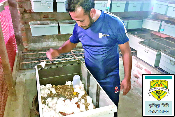 কুমিল্লায় সাদা ইঁদুর চাষে সাফল্য