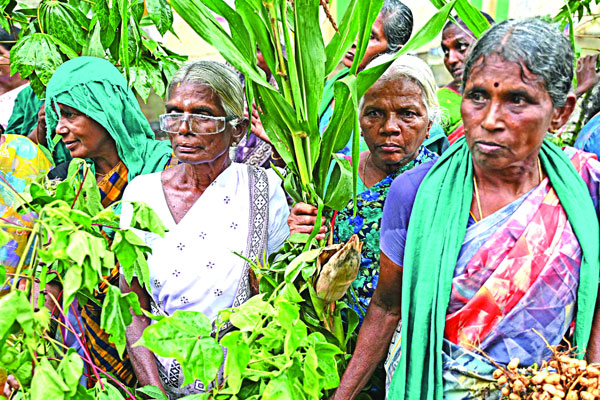 চেন্নাইয়ে কৃষি ভূমির পাশে শিল্প কারখানা