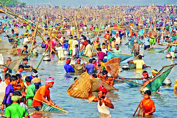 বাউত উৎসবে মিলছে না মাছ