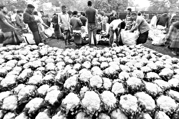 তিন ঘণ্টায় ২ লাখ টাকার ফুলকপি বিক্রি