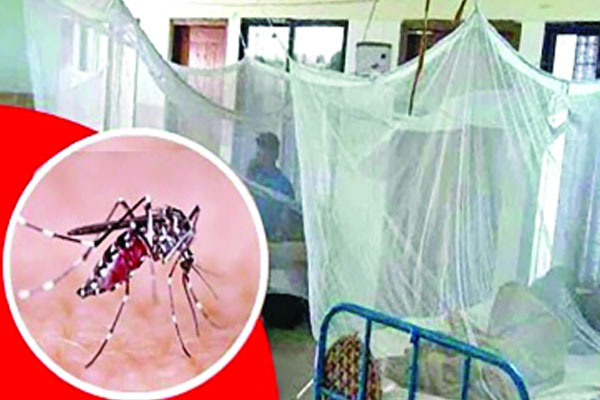 এক মাসে ২৭৪ জনের প্রাণ কেড়েছে ডেঙ্গু