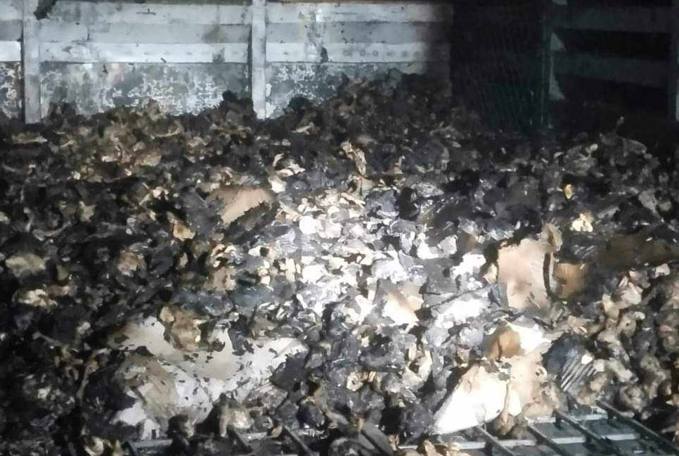 সিরাজগঞ্জে মুরগীবাহী ট্রাকে আগুন
