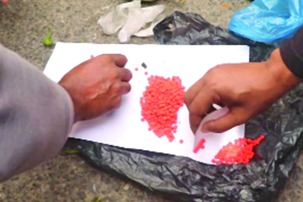 বেগুনে মিলল ১৬০০ পিস ইয়াবা