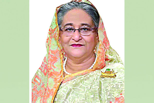 বিশৃঙ্খলা সৃষ্টি করতে দেওয়া যাবে না : প্রধানমন্ত্রী