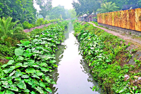 দখলদারের আপত্তিতে থমকে গেছে শ্যামাসুন্দরীর উদ্ধার অভিযান