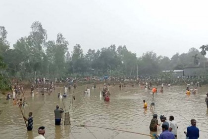 সখীপুরে মাছধরা উৎসব