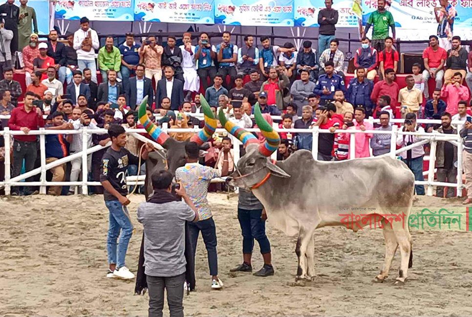 উত্তরবঙ্গ গরু মেলায় ১৪ কোটি টাকার বেচা-কেনা