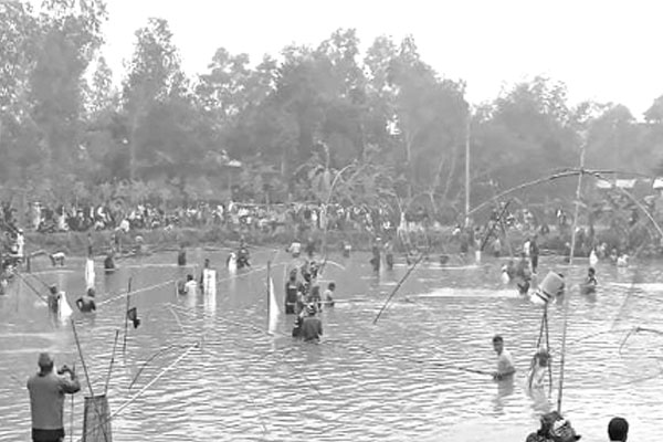 সখীপুরে মাছ ধরা উৎসব