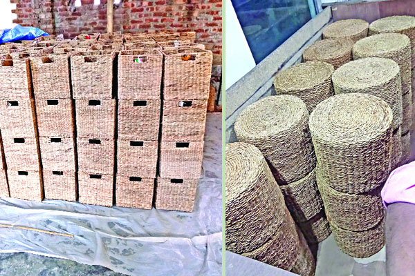 কচুরিপানার হস্তশিল্প ইউরোপে