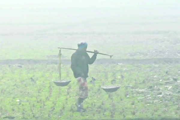 শীত বাড়ছে রাতে