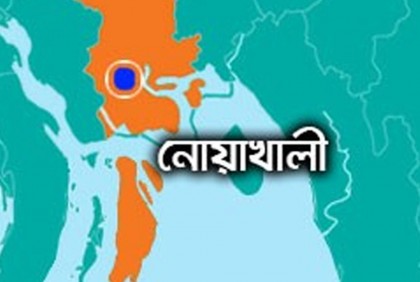 সেনবাগের পল্লীতে ডাকাতি