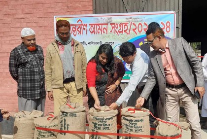 নালিতাবাড়ীতে আমন ধান ও চাল সংগ্রহ অভিযান শুরু