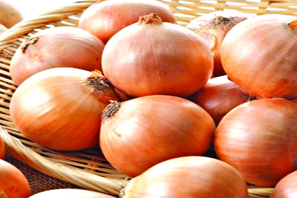 পিঁয়াজের দামে এবার ধস