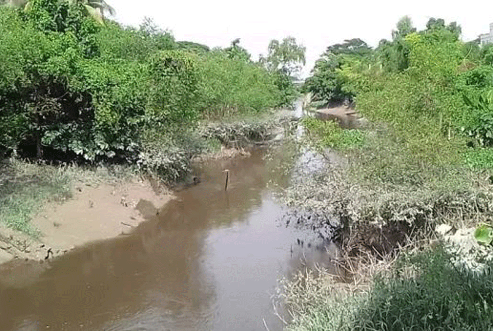 তামাক বিষে বিপর্যস্ত হালদা