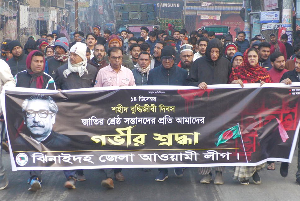 ঝিনাইদহে শহীদ বুদ্ধিজীবী দিবস পালন