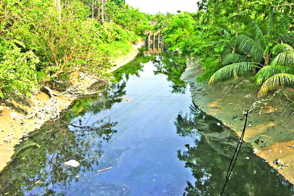 তামাক বিষে বিপর্যস্ত হালদা