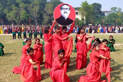 কুমিল্লায় বিজয় দিবস উদযাপন