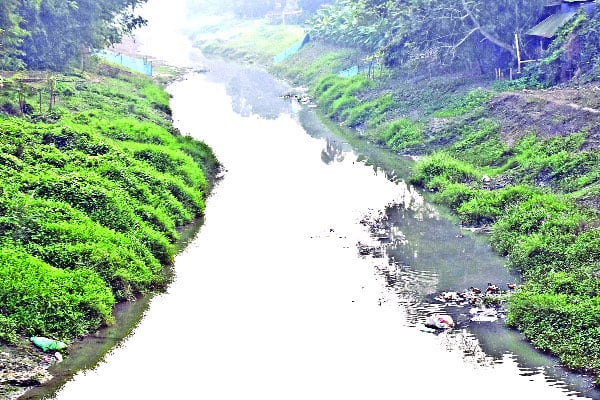 চন্দনা নদী এখন সরু খাল |