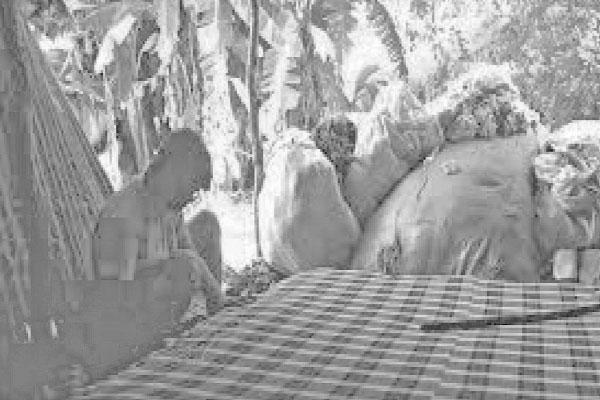 লেপ-তোশক কারিগরদের ব্যস্ততা