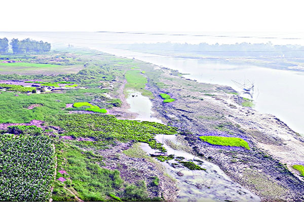 প্রমত্তা কালীগঙ্গায় হয় চাষাবাদ