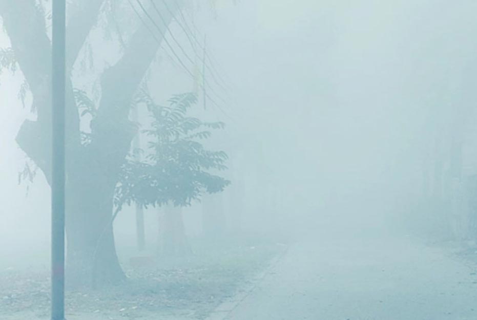 কুয়াশার চাদরে মোড়ানো খুলনা 