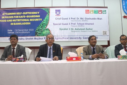 বশেমুরকৃবিতে খাদ্য ও পুষ্টির নিরাপত্তায় ডালের উৎপাদন বিষয়ে সেমিনার
