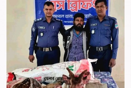 হরিণের মাংসসহ শিকারি গ্রেফতার