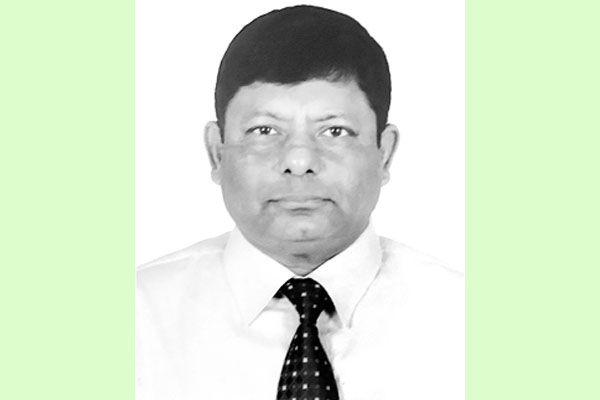 উৎসবমুখর এক বিকাল