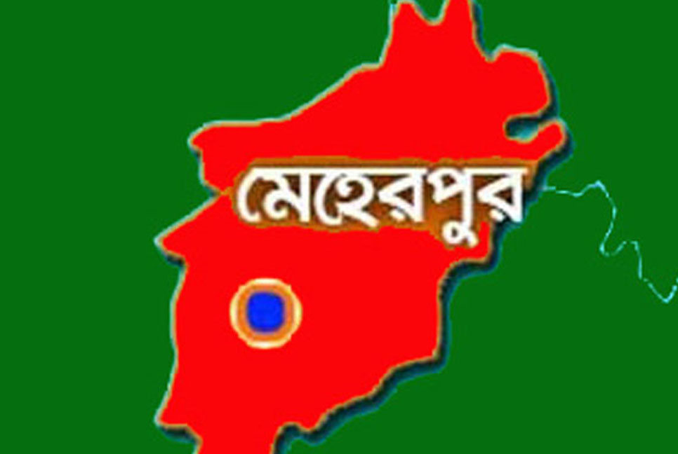 মেহেরপুরে বই বিতরণ উৎসব