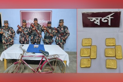 সাতক্ষীরায় সীমান্ত থেকে ৮ স্বর্ণের বার উদ্ধার