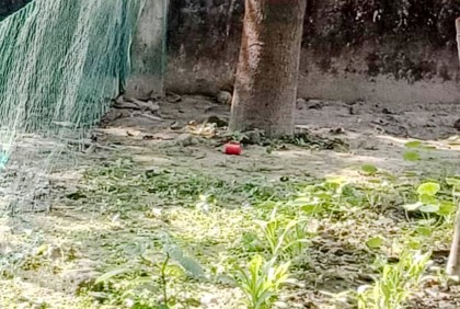 নওগাঁয় ককটেল সাদৃশ্য বস্তু উদ্ধার