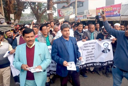 বরিশাল-৩ আসনে লাঙ্গলের প্রচারণায় উপজেলা আওয়ামী লীগ 