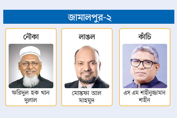 নৌকাকে চ্যালেঞ্জ স্বতন্ত্রসহ লাঙল প্রার্থীর