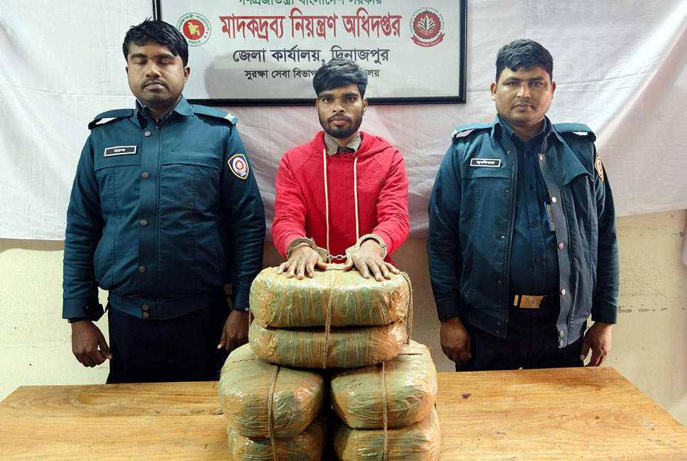 দিনাজপুরে গাঁজাসহ আটক ১