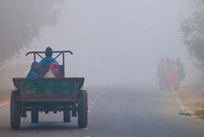 শীত নিয়ে যে তথ্য দিলো আবহাওয়া অফিস