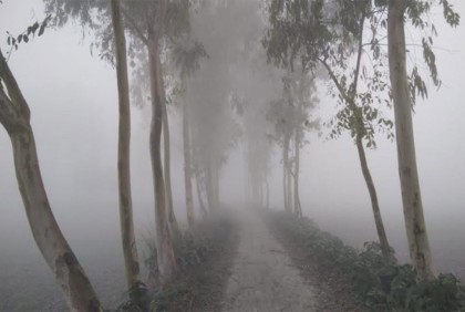 মধ্যরাত থেকে ঘন কুয়াশার আভাস