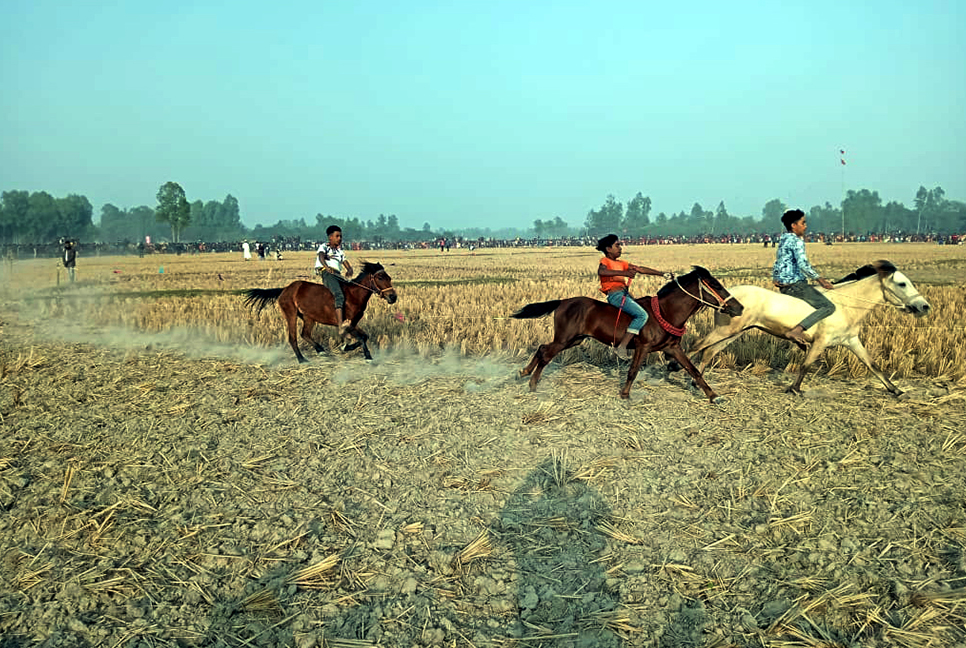 দিনাজপুরে ঐতিহ্যবাহী ঘোড়দৌড় প্রতিযোগিতা
