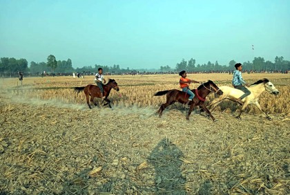 দিনাজপুরে ঐতিহ্যবাহী ঘোড়দৌড় প্রতিযোগিতা