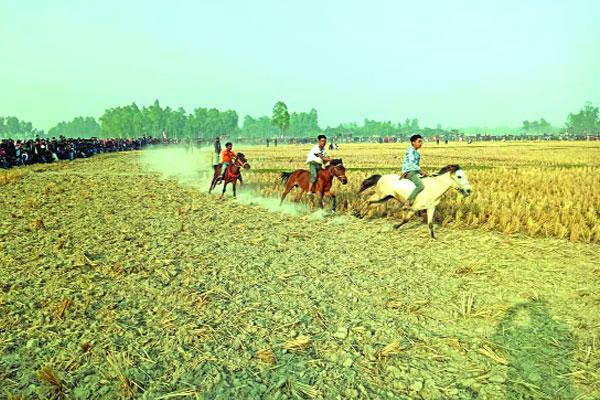 শীত উপেক্ষা করে ঘোড়দৌড় দেখতে মানুষের ঢল