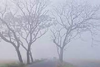 তীব্র শীতের মাঝেই বৃষ্টির পূর্বাভাস
